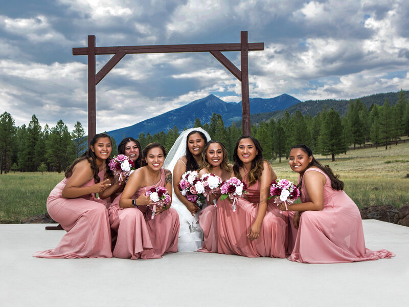 Wedding party with mountain backdrop